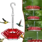 Mary’s Hummingbird Feeder With Perch And Built-in Ant Moat
