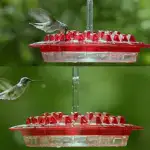 Mary’s Hummingbird Feeder With Perch And Built-in Ant Moat - Image 3