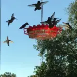 Mary’s Hummingbird Feeder With Perch And Built-in Ant Moat - Image 11